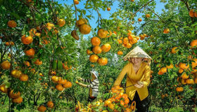 Capture the authentic charm of Vietnam’s cultural scene